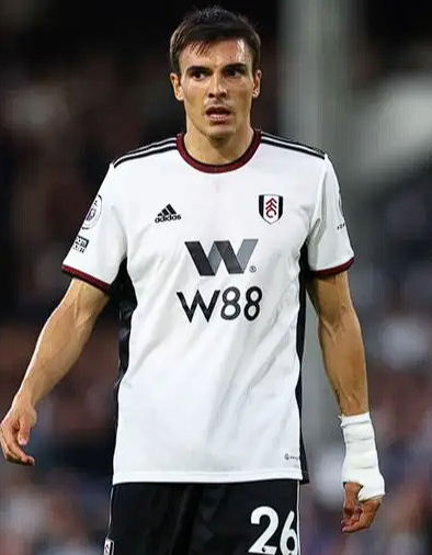 热刺主帅弗兰克谈帕利尼亚未来:短期满意与长期规划的战术权衡