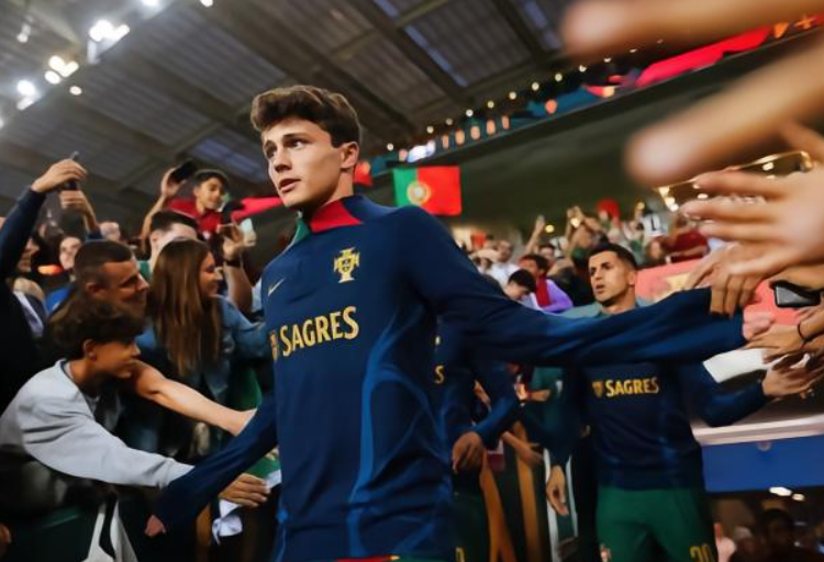 葡萄牙大胜亚美尼亚:若昂·内维斯赛后畅谈比赛感悟