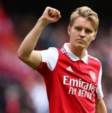 厄德高:伤病难阻梦想,见证挪威重返世界杯